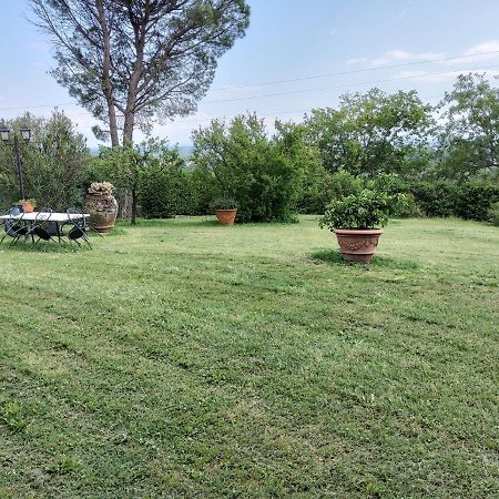 Agriturismo Bellandi Санта-Лучия Экстерьер фото