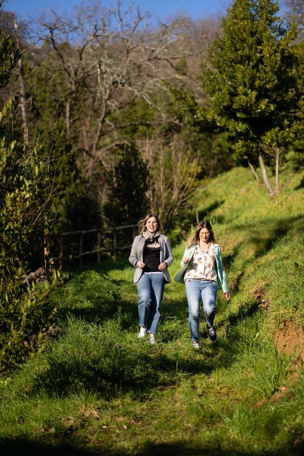 Agriturismo Bellandi Санта-Лучия Экстерьер фото