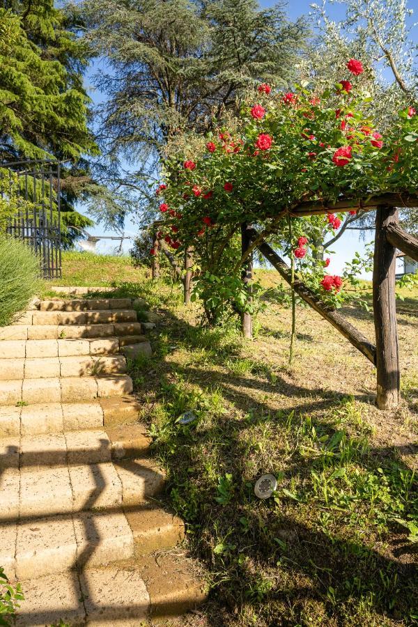 Agriturismo Bellandi Санта-Лучия Экстерьер фото